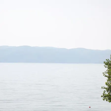 Champagne, Vlore Bay *