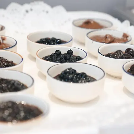 Champagne, Vlore Bay فندق مبيت وإفطار Radhimë