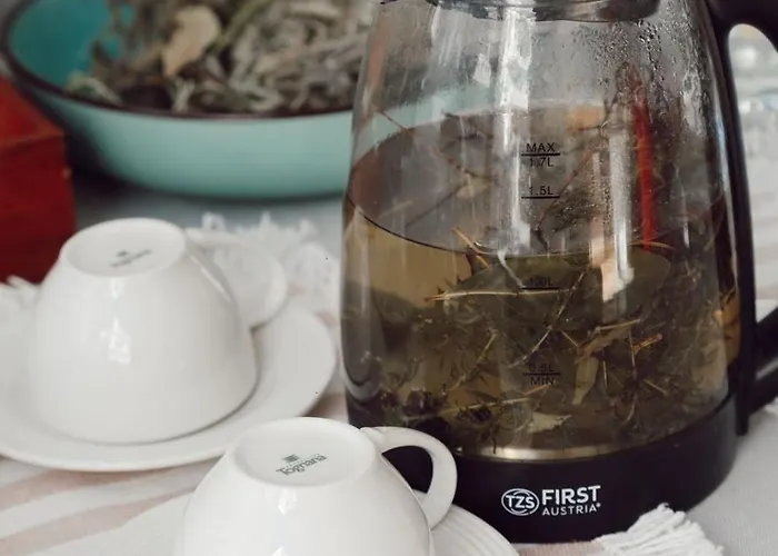 Champagne, Vlore Bay 4* Radhimë